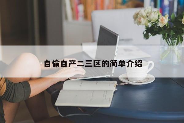 自偷自产二三区的简单介绍