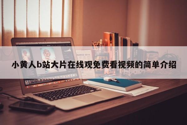 小黄人b站大片在线观免费看视频的简单介绍