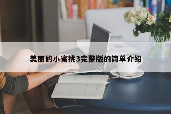 美丽的小蜜挑3完整版的简单介绍
